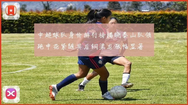 中超球队身价排行榜揭晓泰山队领跑申花紧随其后铜梁龙涨幅显著
